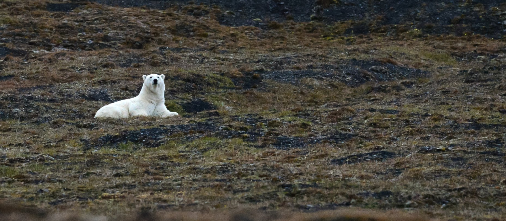 Нефтяной разлив в Сибири
